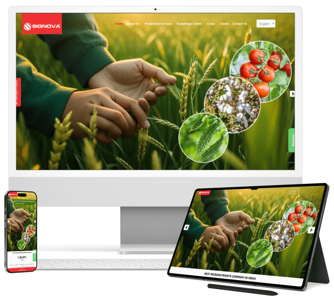 Mobile App Interface